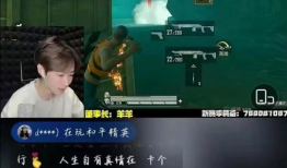 广东亮仔大号直播间91万,91万粉丝见证辉煌时刻