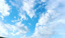 青草原在线视频,探寻自然之美与生态和谐